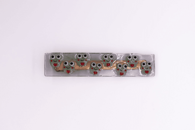 Barrette Grenouilles